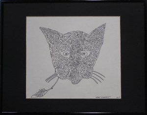 OLYMPUS DIGITAL CAMERA